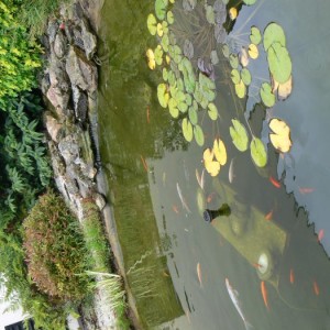P1000806