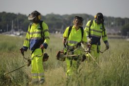 arc-sud-bretagne-chantier-insertion-moulin (79)